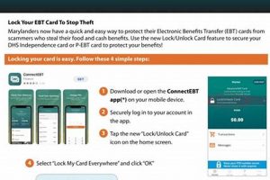Locked Food Stamp Card Old Stamp Collecting Guide: Discover, Value & Preserve Vintage Stamps Locked Food Stamp Card | Old Stamp Collecting Guide: Discover, Value & Preserve Vintage Stamps