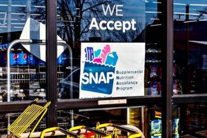Muncie Food Stamp Office: Your Guide & Resources Old Stamp Collecting Guide: Discover, Value & Preserve Vintage Stamps Muncie Food Stamp Office: Your Guide & Resources | Old Stamp Collecting Guide: Discover, Value & Preserve Vintage Stamps