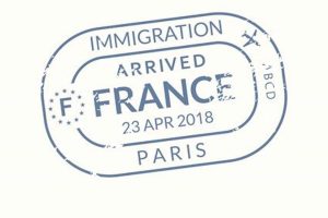 France Passport Stamp: A Guide Old Stamp Collecting Guide: Discover, Value & Preserve Vintage Stamps France Passport Stamp: A Guide | Old Stamp Collecting Guide: Discover, Value & Preserve Vintage Stamps