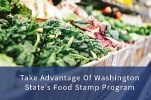 WA Food Stamps: Your Guide & Resources Old Stamp Collecting Guide: Discover, Value & Preserve Vintage Stamps WA Food Stamps: Your Guide & Resources | Old Stamp Collecting Guide: Discover, Value & Preserve Vintage Stamps