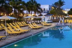 Retro Beach Vibes at Postcard Inn St. Pete Beach | Old Stamp Collecting Guide: Discover, Value & Preserve Vintage Stamps