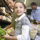 Georgetown Food Stamp Office: Your SNAP Guide | Old Stamp Collecting Guide: Discover, Value & Preserve Vintage Stamps