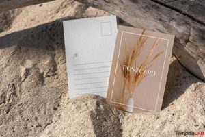 Best Vertical Postcard Templates & Designs | Old Stamp Collecting Guide: Discover, Value & Preserve Vintage Stamps