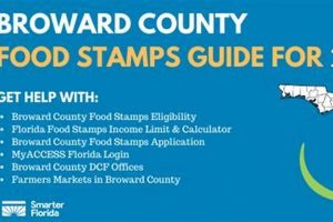 Find Your Murfreesboro, TN Food Stamp Office Old Stamp Collecting Guide: Discover, Value & Preserve Vintage Stamps Find Your Murfreesboro, TN Food Stamp Office | Old Stamp Collecting Guide: Discover, Value & Preserve Vintage Stamps