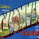 Vintage Jacksonville Postcards: Scenic Florida Memories | Old Stamp Collecting Guide: Discover, Value & Preserve Vintage Stamps