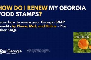 Easy Food Stamp Renewal Online GA Guide | Old Stamp Collecting Guide: Discover, Value & Preserve Vintage Stamps
