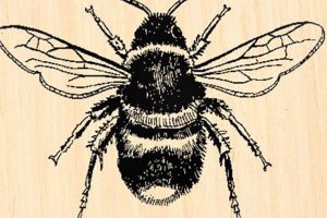 Cute Bumble Bee Rubber Stamps for Crafting Old Stamp Collecting Guide: Discover, Value & Preserve Vintage Stamps Cute Bumble Bee Rubber Stamps for Crafting | Old Stamp Collecting Guide: Discover, Value & Preserve Vintage Stamps