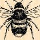 Cute Bumble Bee Rubber Stamps for Crafting | Old Stamp Collecting Guide: Discover, Value & Preserve Vintage Stamps