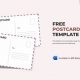 Postcard Creator Free | Old Stamp Collecting Guide: Discover, Value & Preserve Vintage Stamps