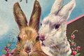 Easter Postcard Old Stamp Collecting Guide: Discover, Value & Preserve Vintage Stamps Easter Postcard | Old Stamp Collecting Guide: Discover, Value & Preserve Vintage Stamps