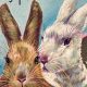 Easter Postcard | Old Stamp Collecting Guide: Discover, Value & Preserve Vintage Stamps
