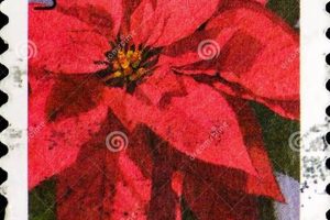 Festive Poinsettia Postage Stamps for Holiday Mail Old Stamp Collecting Guide: Discover, Value & Preserve Vintage Stamps Festive Poinsettia Postage Stamps for Holiday Mail | Old Stamp Collecting Guide: Discover, Value & Preserve Vintage Stamps