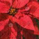 Festive Poinsettia Postage Stamps for Holiday Mail | Old Stamp Collecting Guide: Discover, Value & Preserve Vintage Stamps
