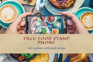 Food Stamp Phones And Tablets Old Stamp Collecting Guide: Discover, Value & Preserve Vintage Stamps Food Stamp Phones And Tablets | Old Stamp Collecting Guide: Discover, Value & Preserve Vintage Stamps