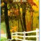 Vintage New Hampshire Postcards: Scenic Views | Old Stamp Collecting Guide: Discover, Value & Preserve Vintage Stamps