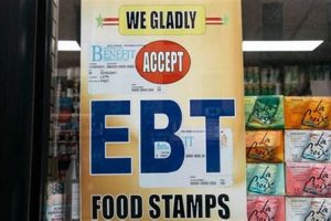 Latest Food Stamp News & Updates Old Stamp Collecting Guide: Discover, Value & Preserve Vintage Stamps Latest Food Stamp News & Updates | Old Stamp Collecting Guide: Discover, Value & Preserve Vintage Stamps