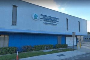 Find Jacksonville Food Stamp Offices Near You Old Stamp Collecting Guide: Discover, Value & Preserve Vintage Stamps Find Jacksonville Food Stamp Offices Near You | Old Stamp Collecting Guide: Discover, Value & Preserve Vintage Stamps