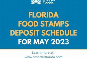 Panama City Florida Food Stamp Office Old Stamp Collecting Guide: Discover, Value & Preserve Vintage Stamps Panama City Florida Food Stamp Office | Old Stamp Collecting Guide: Discover, Value & Preserve Vintage Stamps