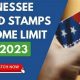 Find Food Stamp Office Locations in Morristown, TN | Old Stamp Collecting Guide: Discover, Value & Preserve Vintage Stamps