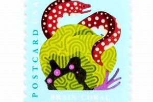 Discover 2019 Postcard Stamp Values Today! Old Stamp Collecting Guide: Discover, Value & Preserve Vintage Stamps Discover 2019 Postcard Stamp Values Today! | Old Stamp Collecting Guide: Discover, Value & Preserve Vintage Stamps