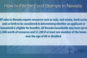 Nevada Food Stamp Eligibility Guide & FAQs Old Stamp Collecting Guide: Discover, Value & Preserve Vintage Stamps Nevada Food Stamp Eligibility Guide & FAQs | Old Stamp Collecting Guide: Discover, Value & Preserve Vintage Stamps