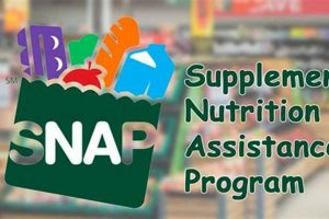 Apply for Food Stamps (SNAP) in Spanish - Guide | Old Stamp Collecting Guide: Discover, Value & Preserve Vintage Stamps