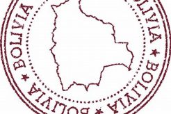 Bolivia Passport Stamp: Guide & Requirements Old Stamp Collecting Guide: Discover, Value & Preserve Vintage Stamps Bolivia Passport Stamp: Guide & Requirements | Old Stamp Collecting Guide: Discover, Value & Preserve Vintage Stamps