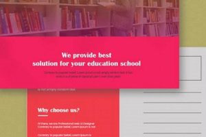 Effective Education Postcard Marketing Ideas & Tips | Old Stamp Collecting Guide: Discover, Value & Preserve Vintage Stamps