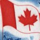 Classic Canadian Postage Stamps: A Collector's Guide | Old Stamp Collecting Guide: Discover, Value & Preserve Vintage Stamps