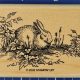 Cute Rabbit Rubber Stamps & Supplies | Old Stamp Collecting Guide: Discover, Value & Preserve Vintage Stamps