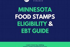 Apply for Minnesota Food Stamps: Your Guide Old Stamp Collecting Guide: Discover, Value & Preserve Vintage Stamps Apply for Minnesota Food Stamps: Your Guide | Old Stamp Collecting Guide: Discover, Value & Preserve Vintage Stamps