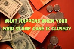 Your Food Stamp Case Closed: What Happens Next? Old Stamp Collecting Guide: Discover, Value & Preserve Vintage Stamps Your Food Stamp Case Closed: What Happens Next? | Old Stamp Collecting Guide: Discover, Value & Preserve Vintage Stamps