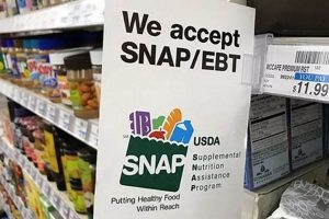 Avoid Food Stamp Scams in 2024: Stay Safe Old Stamp Collecting Guide: Discover, Value & Preserve Vintage Stamps Avoid Food Stamp Scams in 2024: Stay Safe | Old Stamp Collecting Guide: Discover, Value & Preserve Vintage Stamps