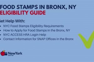 Find Your Bronx Food Stamp Office in NYC Old Stamp Collecting Guide: Discover, Value & Preserve Vintage Stamps Find Your Bronx Food Stamp Office in NYC | Old Stamp Collecting Guide: Discover, Value & Preserve Vintage Stamps