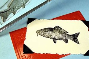 Premium Fish Rubber Stamps & Designs Old Stamp Collecting Guide: Discover, Value & Preserve Vintage Stamps Premium Fish Rubber Stamps & Designs | Old Stamp Collecting Guide: Discover, Value & Preserve Vintage Stamps