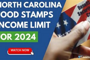 NC Food Stamp Card Number: Guide & Info Old Stamp Collecting Guide: Discover, Value & Preserve Vintage Stamps NC Food Stamp Card Number: Guide & Info | Old Stamp Collecting Guide: Discover, Value & Preserve Vintage Stamps