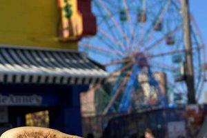Find Your Coney Island SNAP Office in Brooklyn Old Stamp Collecting Guide: Discover, Value & Preserve Vintage Stamps Find Your Coney Island SNAP Office in Brooklyn | Old Stamp Collecting Guide: Discover, Value & Preserve Vintage Stamps