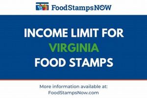 VA Food Stamp Income Limits: 2024 Guide Old Stamp Collecting Guide: Discover, Value & Preserve Vintage Stamps VA Food Stamp Income Limits: 2024 Guide | Old Stamp Collecting Guide: Discover, Value & Preserve Vintage Stamps