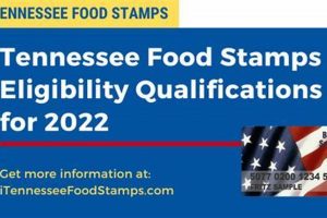 Find Your Savannah, TN Food Stamp Office Old Stamp Collecting Guide: Discover, Value & Preserve Vintage Stamps Find Your Savannah, TN Food Stamp Office | Old Stamp Collecting Guide: Discover, Value & Preserve Vintage Stamps