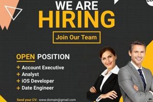 Best Postcard Jobs: Ultimate Guide & Tips | Old Stamp Collecting Guide: Discover, Value & Preserve Vintage Stamps