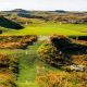 Mastering the Postage Stamp Golf Hole Challenge | Old Stamp Collecting Guide: Discover, Value & Preserve Vintage Stamps