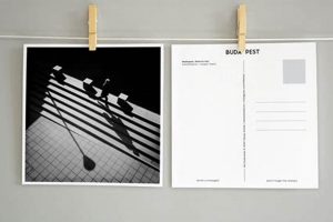 Design & Print Postcard Squares Online | Old Stamp Collecting Guide: Discover, Value & Preserve Vintage Stamps