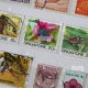Stamp Collector Singapore | Old Stamp Collecting Guide: Discover, Value & Preserve Vintage Stamps