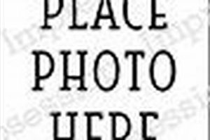 Official "Place Photo Here" Rubber Stamps & Seals Old Stamp Collecting Guide: Discover, Value & Preserve Vintage Stamps Official "Place Photo Here" Rubber Stamps & Seals | Old Stamp Collecting Guide: Discover, Value & Preserve Vintage Stamps