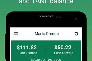 Nm Food Stamp Balance | Old Stamp Collecting Guide: Discover, Value & Preserve Vintage Stamps