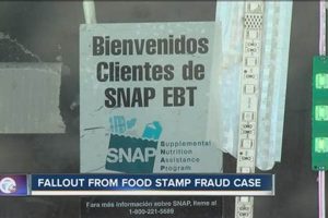 Reporting Food Stamp Fraud: A How-To Guide | Old Stamp Collecting Guide: Discover, Value & Preserve Vintage Stamps