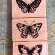 Beautiful Butterfly Rubber Stamps for Crafting | Old Stamp Collecting Guide: Discover, Value & Preserve Vintage Stamps