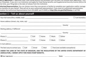 Check Status Of Food Stamp Application Tn Old Stamp Collecting Guide: Discover, Value & Preserve Vintage Stamps Check Status Of Food Stamp Application Tn | Old Stamp Collecting Guide: Discover, Value & Preserve Vintage Stamps