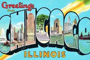 Chicago Illinois Postcard Old Stamp Collecting Guide: Discover, Value & Preserve Vintage Stamps Chicago Illinois Postcard | Old Stamp Collecting Guide: Discover, Value & Preserve Vintage Stamps
