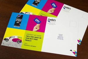 Effective Postcard Direct Mail Marketing Strategies Old Stamp Collecting Guide: Discover, Value & Preserve Vintage Stamps Effective Postcard Direct Mail Marketing Strategies | Old Stamp Collecting Guide: Discover, Value & Preserve Vintage Stamps